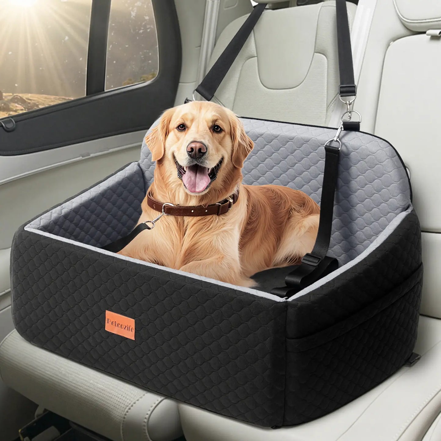 PAWGIANT Portable Dog Car Seat, Stylish Travel Carrier, Dog Car Seat for Large Medium Dogs Pet Car Seat under 55 Lbs or 2 Puppies Removable Washable Pets Travel Booster Bed for Automotive Backseat with Comfy Thick Cushion 2 Safety Leashes, Black Brown
